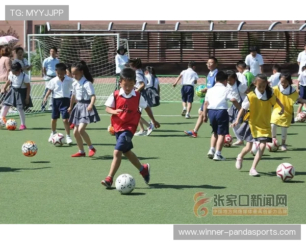 张家口足球球星的崛起与贡献探索及其在中国足球发展中的独特地位