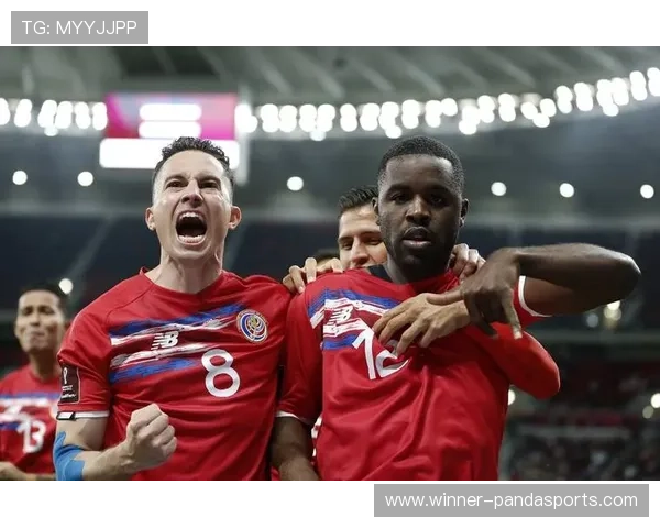 新西兰足球明星排名揭晓年度最佳球员及其表现分析